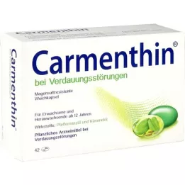 CARMENTHIN nuo virškinimo sutrikimų msr.soft kapsulės, 42 vnt