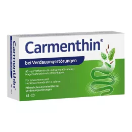 CARMENTHIN nuo virškinimo sutrikimų msr.soft kapsulės, 42 vnt
