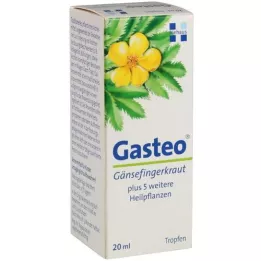 GASTEO Geriamieji lašai, 20 ml