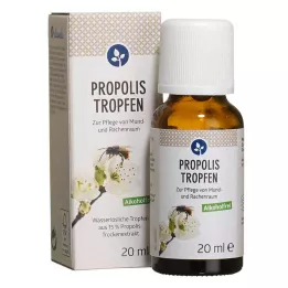 PROPOLIS TROPFEN be alkoholio, 20 ml