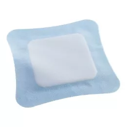 VLIWASORB Pro superabsorb.comp.sterile 10x10 cm, 10 vnt