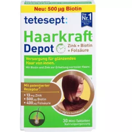 TETESEPT Haarkraft Depot plėvele dengtos tabletės, 30 vnt