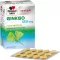 DOPPELHERZ Ginkgo 120 mg sisteminės plėvele dengtos tabletės, 120 vnt