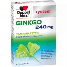 DOPPELHERZ Ginkgo 240 mg sisteminės plėvele dengtos tabletės, 30 vnt