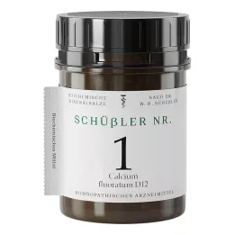 SCHÜSSLER NR.1 Calcium fluoratum D 12 tablečių, 400 vnt