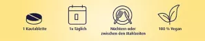 Instructions for use for Vitaminas B12 500 µg pastilės, 180 vnt - 2