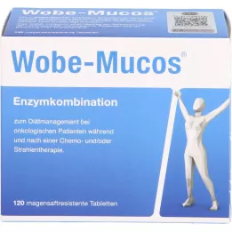WOBE-MUCOS enterinėmis plėvele dengtos tabletės, 120 vnt