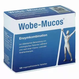 WOBE-MUCOS enterinėmis plėvele dengtos tabletės, 120 vnt