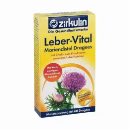 ZIRKULIN Liver Vital Milk Thistle dengtos tabletės, 60 kapsulių