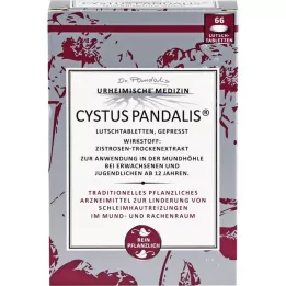 CYSTUS Pandalio pastilės, 66 vnt