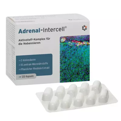 Adrenal-Intercell kapsulės, 120 vnt