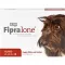 FIPRALONE 134 mg tirpalas vidutinio dydžio šunims, 4 vnt