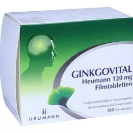 GINKGOVITAL Heumann 120 mg plėvele dengtos tabletės, 120 vnt