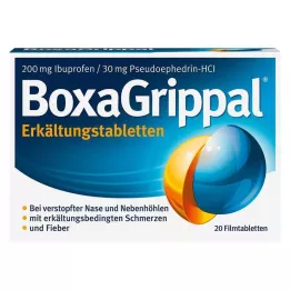 BOXAGRIPPAL Šaltosios tabletės 200 mg/30 mg FTA, 20 vnt