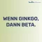 Gingobeta 40 mg plėvele dengtos tabletės, 30 vnt