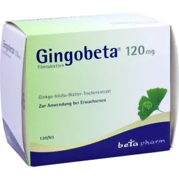 GINGOBETA 120 mg plėvele dengtos tabletės, 120 vnt