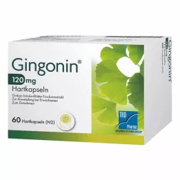 Gingonin® 120 mg kietos kapsulės, 60 vnt
