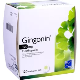 GINGONIN 120 mg kietosios kapsulės, 120 vnt