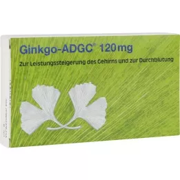 GINKGO ADGC 120 mg plėvele dengtos tabletės, 20 vnt
