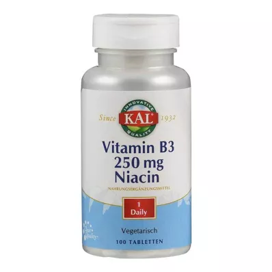 VITAMIN B3 NIACIN 250 mg tabletės, 100 vnt