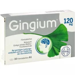 GINGIUM 120 mg plėvele dengtos tabletės, 30 vnt