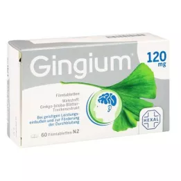 GINGIUM 120 mg plėvele dengtos tabletės, 60 vnt