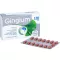 GINGIUM 120 mg plėvele dengtos tabletės, 60 vnt