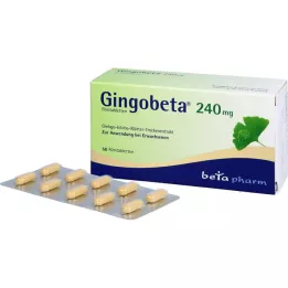 GINGOBETA 240 mg plėvele dengtos tabletės, 50 vnt