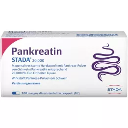 PANKREATIN STADA 20 000 skrandžio sulčių kietųjų kapsulių, 100 vnt