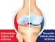 Instructions for use for GELENCIUM® arthro lašai, 100 ml - 2