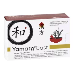 YAMATOGAST 265 mg plėvele dengtos tabletės, 63 vnt