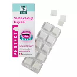 BADERS Protect Gum Gum Care, 20 vnt