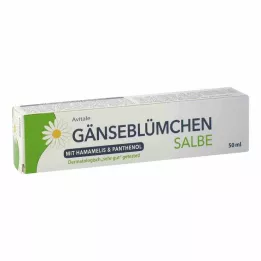 GÄNSEBLÜMCHEN Tepalas su raganosiu &amp; Pantenolis, 50 ml
