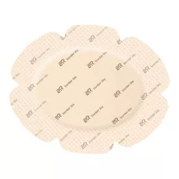 Suprasorb P jautrus PU-Schaumv.multis.bor.12x15, 10 vnt