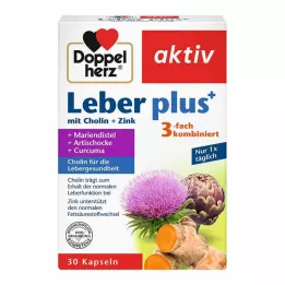 DOPPELHERZ Kepenys plius su cholinu ir cinku, 30 kapsulių