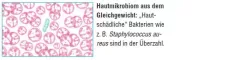 Instructions for use for AKTIVADERM ND Neurodermito odos gydymui aktyvūs probiotikai, 125 g - 2