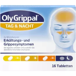 OLYGRIPPAL Diena &amp; Naktis 500 mg/60 mg tabletės, 16 vnt