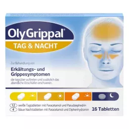 Olygrippal Day &amp; Night 500 mg/60 mg tabletės (16 vnt.)
