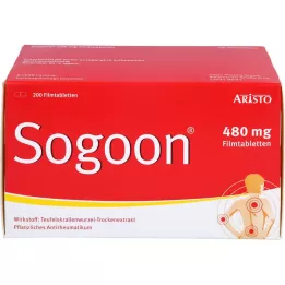 SOGOON 480 mg plėvele dengtos tabletės, 200 vnt