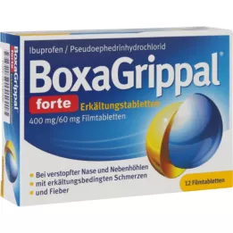 BOXAGRIPPAL forte šaltoji lazda. 400 mg/60 mg FTA, 12 vnt