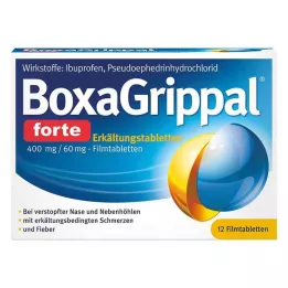 BOXAGRIPPAL forte šaltoji lazda. 400 mg/60 mg FTA, 12 vnt