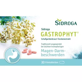 SIDROGA GastroPhyt 250 mg plėvele dengtos tabletės, 30 vnt
