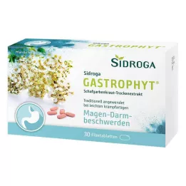 SIDROGA GastroPhyt 250 mg plėvele dengtos tabletės, 30 vnt
