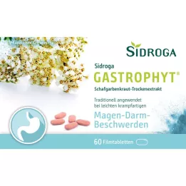 SIDROGA GastroPhyt 250 mg plėvele dengtos tabletės, 60 vnt