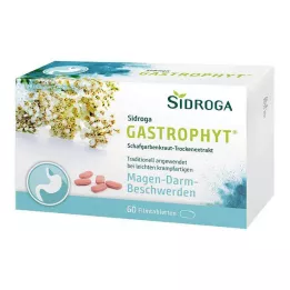 SIDROGA GastroPhyt 250 mg plėvele dengtos tabletės, 60 vnt