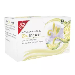 H&S Organinis imbiero filtravimo maišelis, 20X2 g