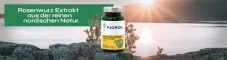 Instructions for use for Fjordil Rhodiola Rosea kapsulės (90 vnt.) - 1