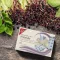 H&S Šeivamedžio uogos su vitaminu C ir cinko filtro maišelis, 20X2,5 g