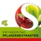 Dobensana Herbal Kirschgeschm.vit.c & Cinko pastilė.(36 vienetai)