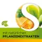 Dobensana žolelių medus vitaminai C & cinko pastilė.(36 vienetai)
